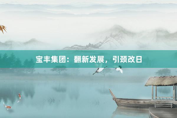 宝丰集团：翻新发展，引颈改日