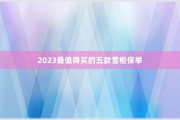 2023最值得买的五款雪柜保举